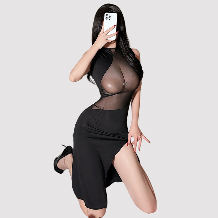 Sheer Seductive Sexy Bodycon Maxi Dress