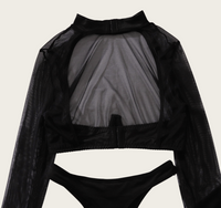 Sheer Long Sleeve Crop Top &amp; Stocking Set