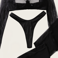 Sheer Long Sleeve Crop Top &amp; Stocking Set