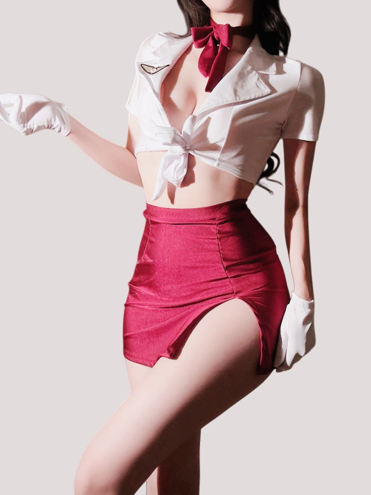 Flight Attendant-Inspired Sexy Costume